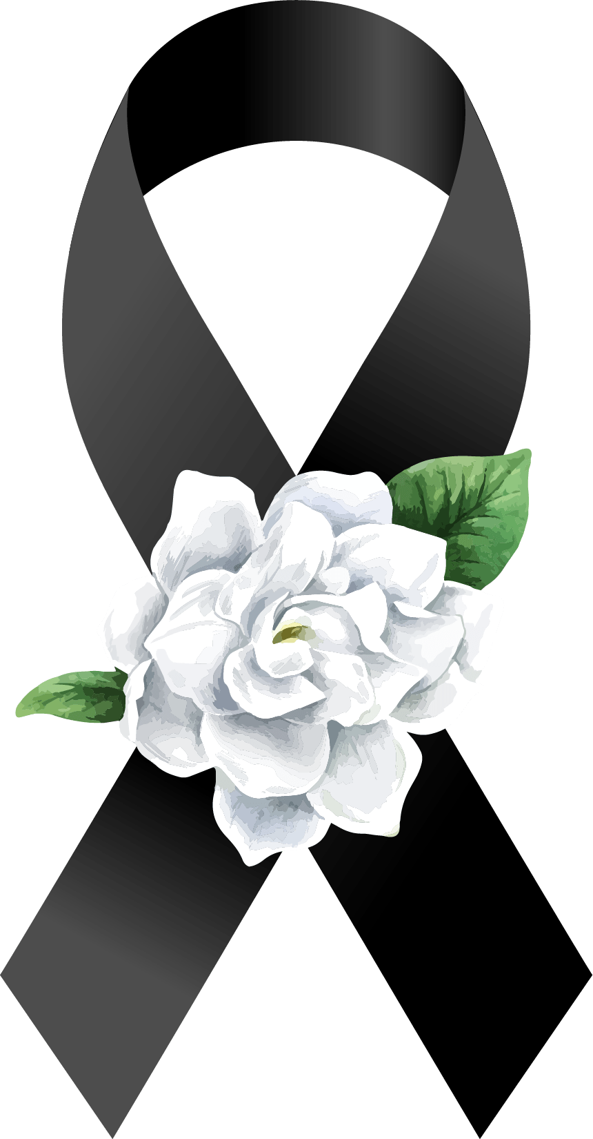 ดอกมะลิ