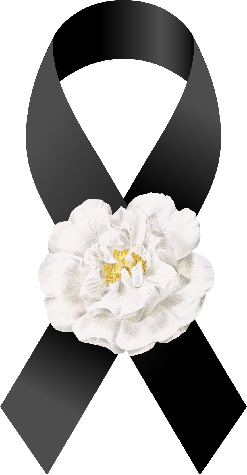 ดอกกุหลาบควีนสิริกิติ์